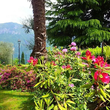 Casa La Rosa Lägenhetshotell 3*